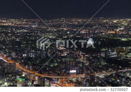 Nagoya Castle Night view 32730087