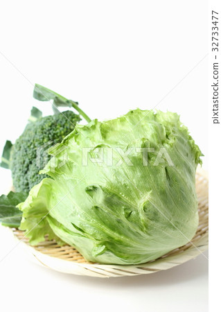 Fresh lettuce and broccoli 32733477