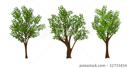 Vector trees set 32733834
