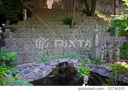 Okonera Okonera 32736105