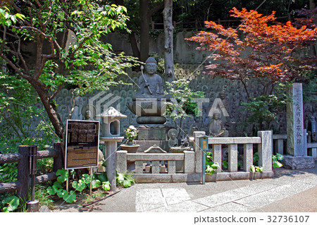 Okonera Okonera 32736107