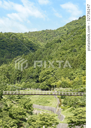 在森林裡的懸索橋(藤川工藝園:Minobu-cho) 在森林裡的懸索橋(藤川工藝園:Minobu-cho) 32736247