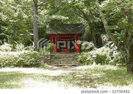 本宮沙(伊豆山神社:熱海市) 本宮沙(伊豆山神社:熱海市) 32736482