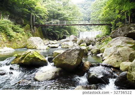 Hayakawa Sakura Bridge (Hakone Town) 32736522