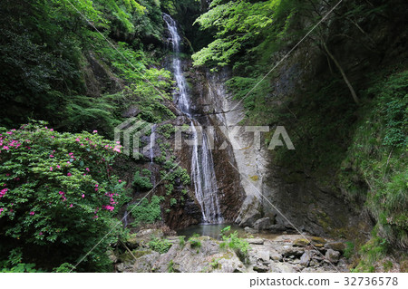 Waterfalls in Todashima prefecture, Mima city Waterfalls in Todashima prefecture, Mima city 32736578