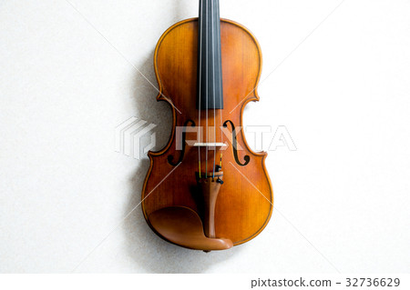 Violin Violin 32736629