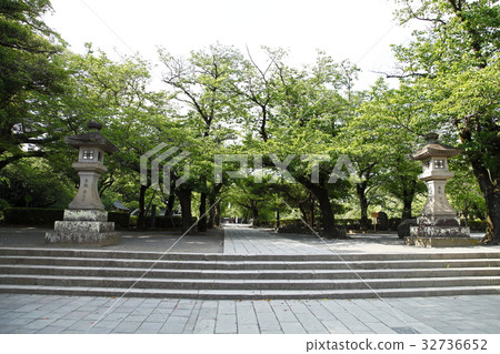 三鷹泰沙（三島市） 32736652