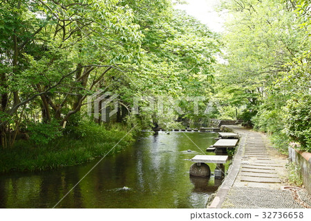 Genbeigawa(Genbeegagawa:三島市) Genbeigawa(Genbeegagawa:三島市) 32736658