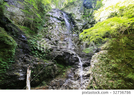 Yoshinogawa City, Tokushima Pref. 32736786