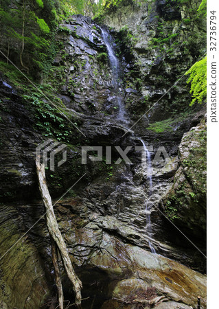 Yoshinogawa City, Tokushima Pref. 32736794