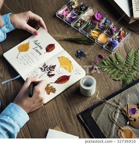 Hands Writing Detail of Dried Flowers Collection in Notebook Handmade Work Hobby 32736910