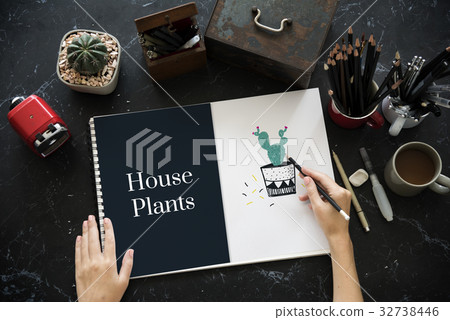 Cactus House Plants Nature Relax Concept 32738446