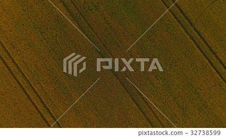 "Wheat field" (Hokkaido Monbetsu City) shot from the sky with a drone "Wheat field" (Hokkaido Monbetsu City) shot from the sky with a drone 32738599