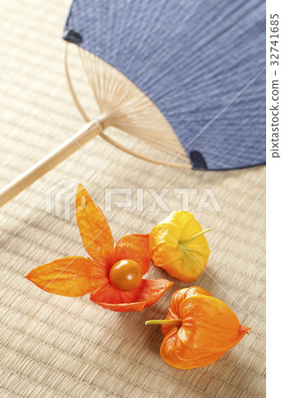 Host cherry and fan Host cherry and fan 32741685