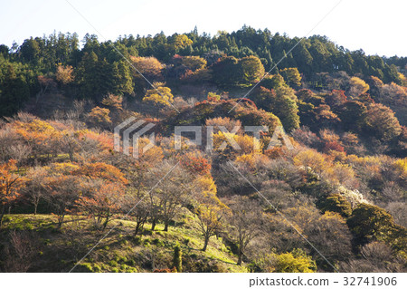 Autumn leaves of Nara Yoshinoyama Autumn leaves of Nara Yoshinoyama 32741906