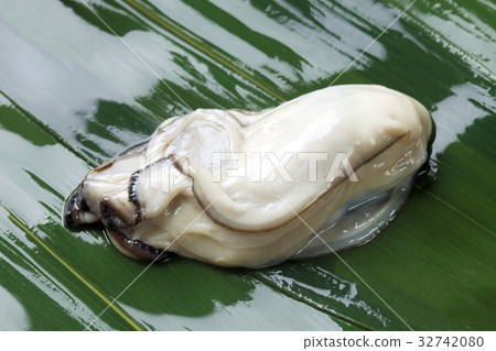 Raw oysters  32742080