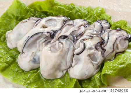 Raw oysters  32742088