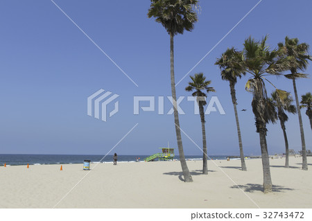 Venice Beach Venice Beach 32743472