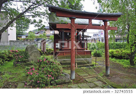 Rainy Sanno Hie Shrine 32743555
