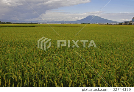 Hirakawa walk, Inaho and Mt. Iwaki 32744359