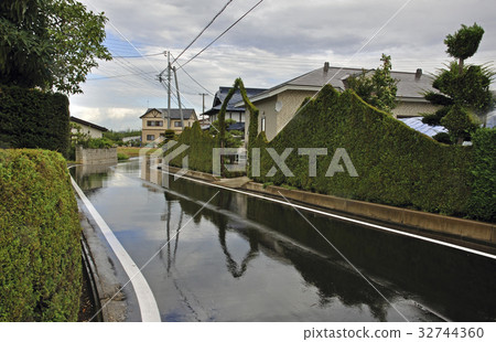 Hirakawa walk / hedge road load 32744360