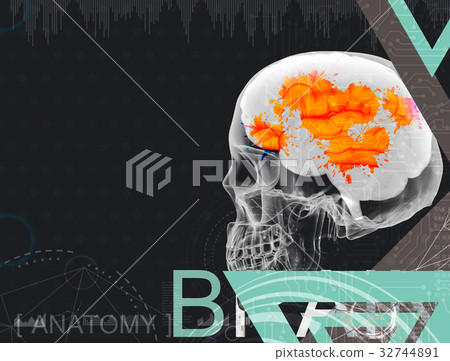 3d illustration of human brain on background - Stock Illustration ...