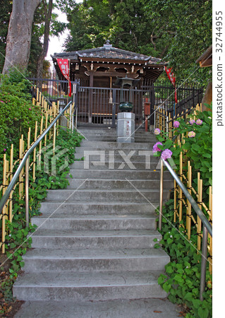 Taki Itsumida Taki Itsumida 32744955