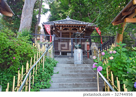 Taki Itsumida 32744956