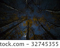 Moonlit Night Autumn Leaves Eastern Sierra California Aspen 1 32745355