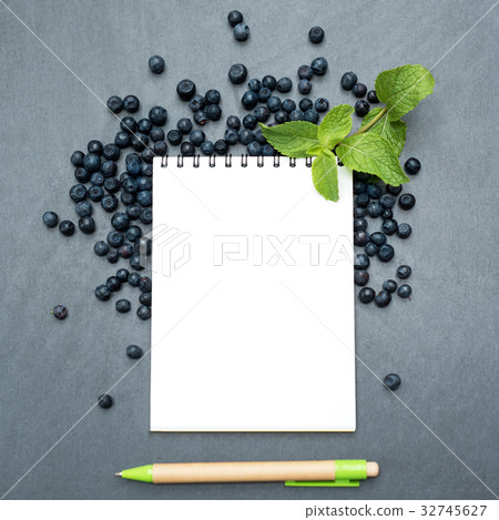 Blueberries, mint leaves and notepad for writing Blueberries, mint leaves and notepad for writing 32745627