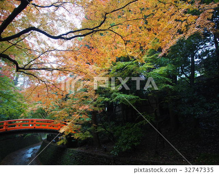 Maple Garden _ Kitano Tenman-inu Maple Garden _ Kitano Tenman-inu 32747335