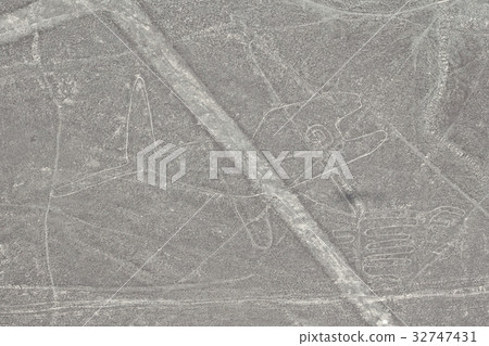 [World heritage of Peru] Ground painting of Nazca 32747431
