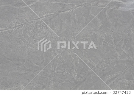 [World heritage of Peru] Ground painting of Nazca 32747433
