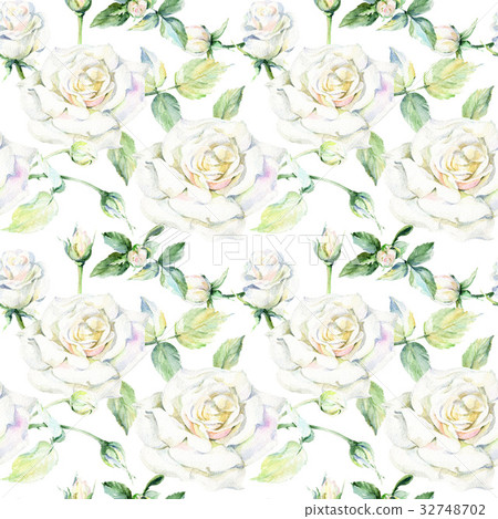 Wildflower rose flower pattern in a watercolor 32748702