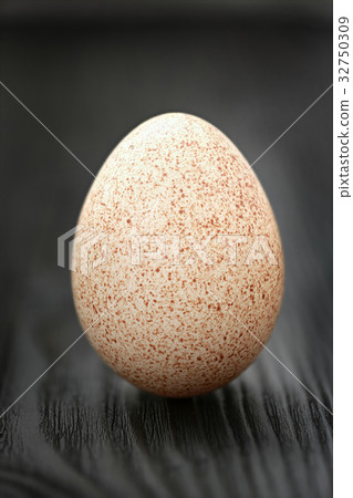 turkey-cock egg turkey-cock egg 32750309