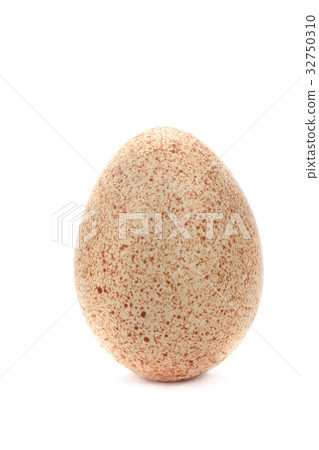turkey-cock egg turkey-cock egg 32750310