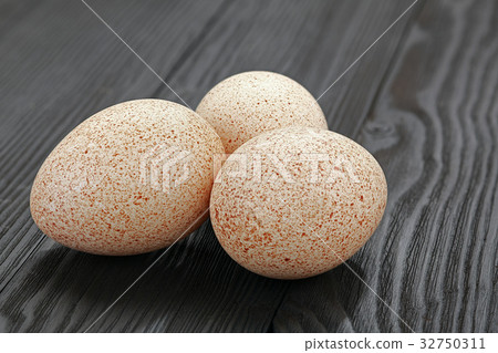 turkey-cock egg turkey-cock egg 32750311