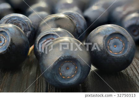 blueberry blueberry 32750313