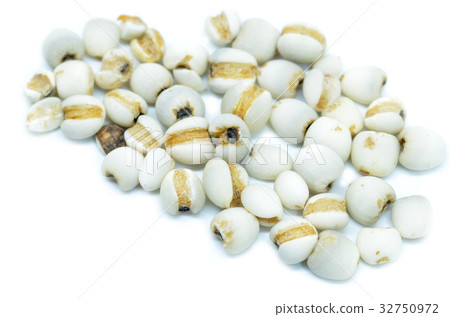 Pile of Job's tears Pile of Job's tears 32750972