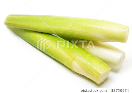 Fresh water bamboo shoot Fresh water bamboo shoot 32750974