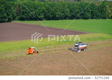 Harvester on the field cleaning Harvester on the field cleaning 32751160