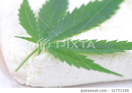 Fresh hemp leaves medical cannabis 32751190