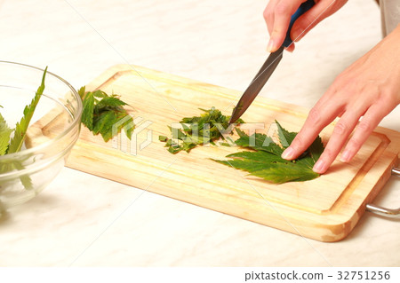 Fresh hemp leaves medical cannabis 32751256