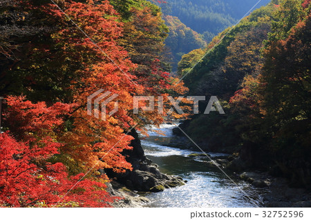 Impression of autumn Suwa Gorge Autumn leaves Impression of autumn Suwa Gorge Autumn leaves 32752596