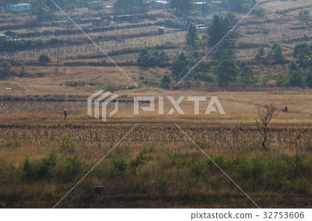 非洲史瓦濟蘭冬景生活 32753606