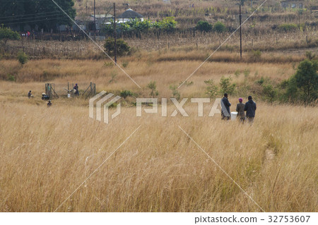 African Swaziland winter life 32753607