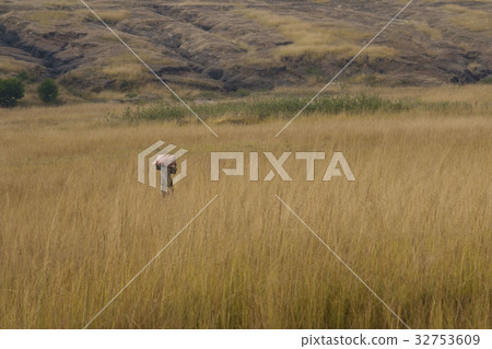 非洲史瓦濟蘭冬景生活 32753609