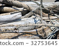 Driftwood that has flowed 32753645
