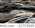 Driftwood drifted 32753646
