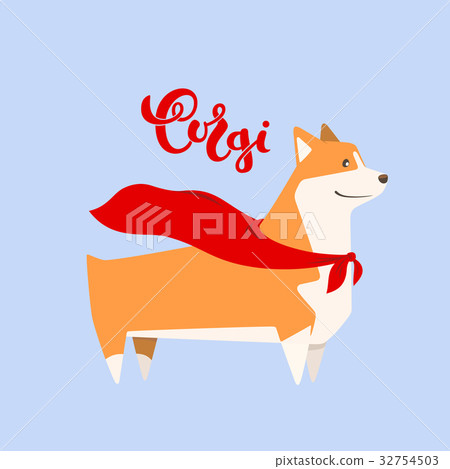 Vector dog corgi in hero cape. Breed inscription 32754503